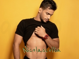 nicolascollin Question Coquine