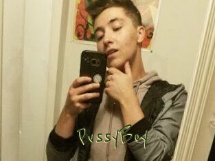PvssyBoy