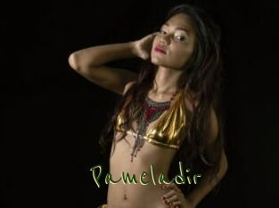Pameladir