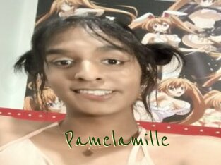 pamelamille Question Coquine