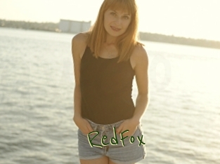 RedFox Question Coquine