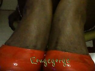 Rougegorge