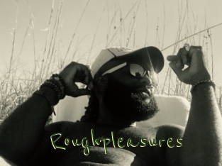 Roughpleasures