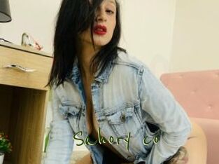 Sahory_co