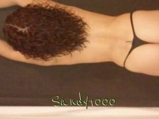 Sandy1000