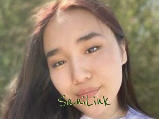 SaniLink