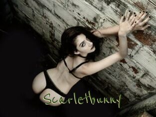 Scarletbunny