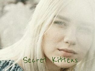 Secret_Kittens