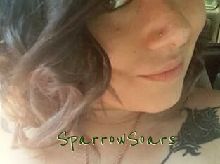 SparrowSoars