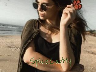 SpiceCatty