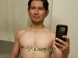 Stampede