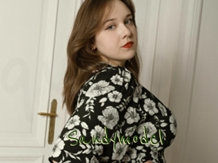 Sandymodel