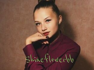 Shineflowerbb