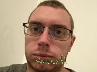 Snakefl