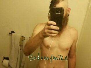 Sodomymike