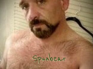 Spunbear
