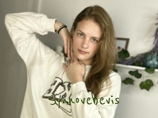 Synnovebevis