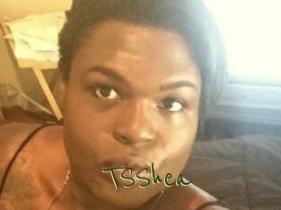 TS_Shea