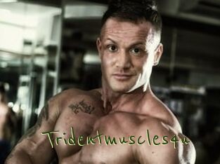 Tridentmuscles4u