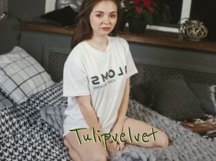 Tulipvelvet
