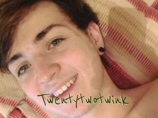 Twentytwotwink