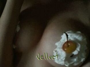 Vellvet