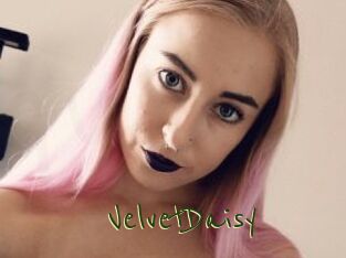VelvetDaisy