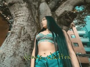 Venus_Walton