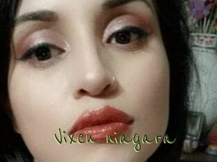 Vixen_niagara