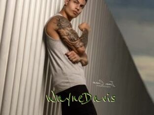 WayneDavis