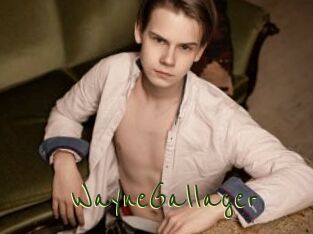 WayneGallager