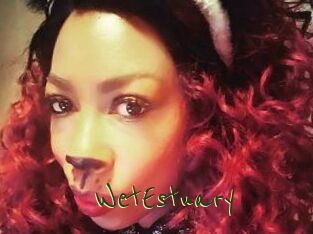 WetEstuary