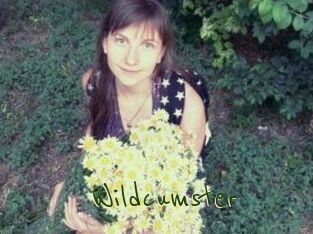 Wildcumster