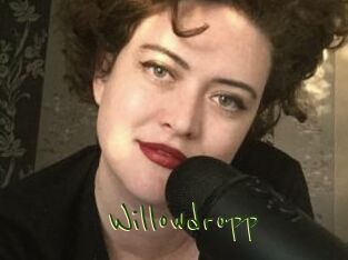 Willowdropp