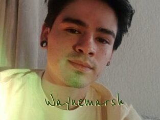 Waynemarsh