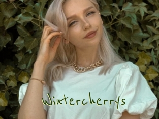 Wintercherrys
