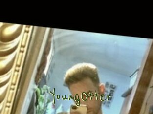 YoungOtter