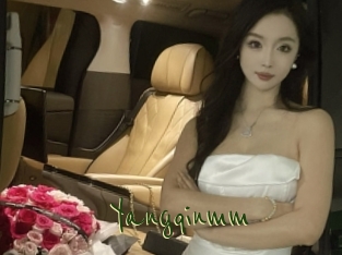 Yangqinmm