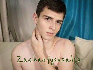 Zacharygonzalez